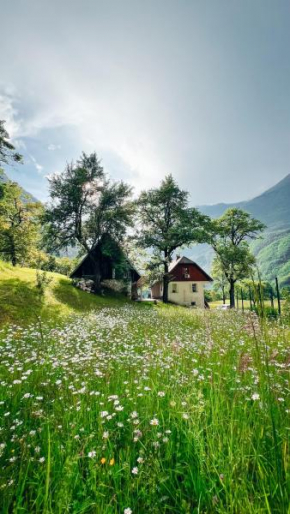 Apartments Mala Korita Soče Soča
